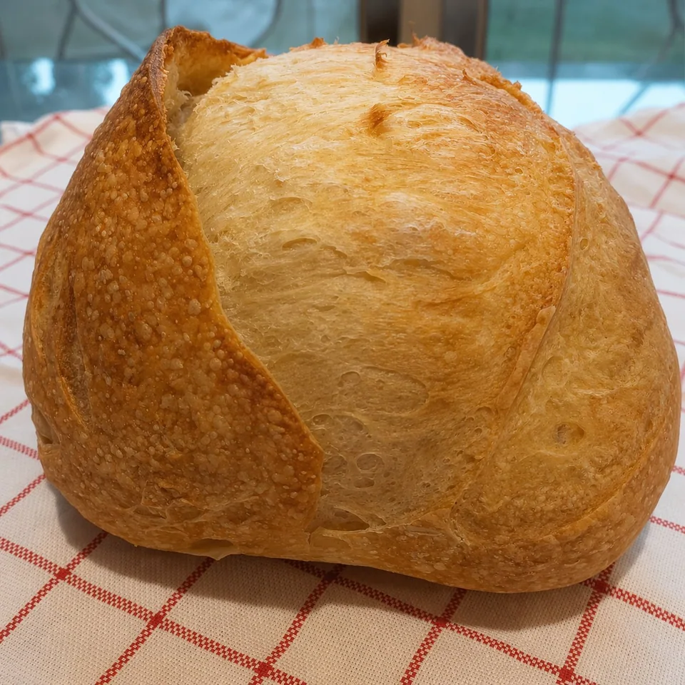 Original plain.