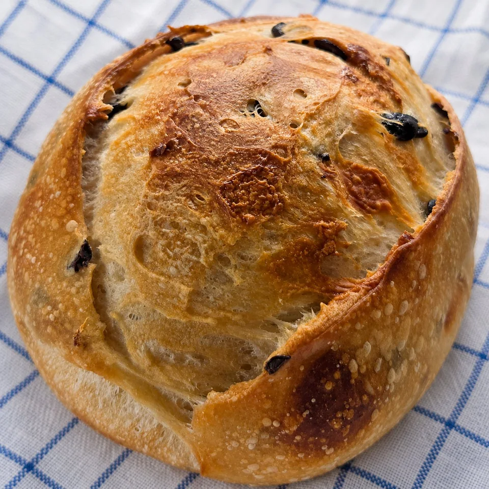 Black olive cheese