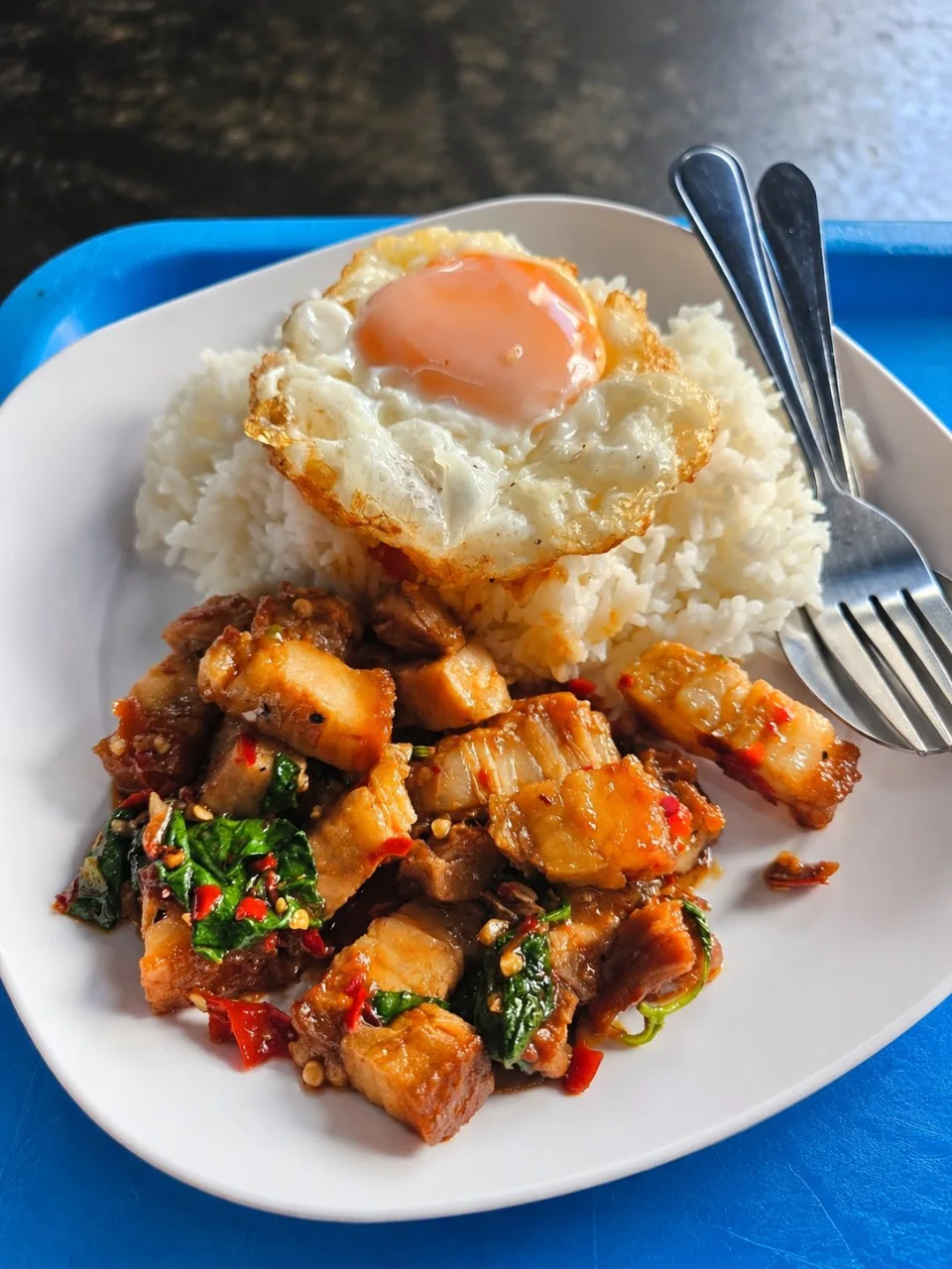 เฮียหมู ก๋วยเตี๋ยวต้มยำโบราณ รูปเมนู